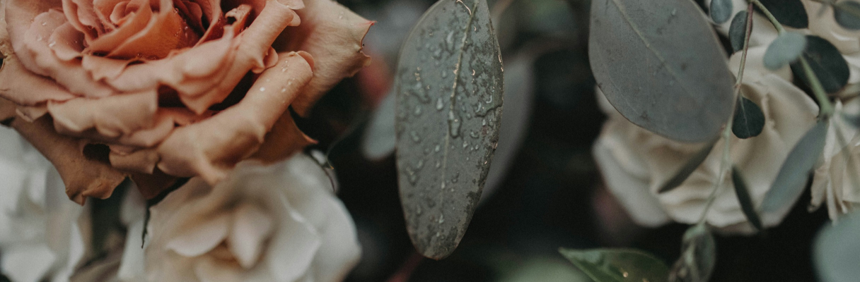 Embrace the Elements