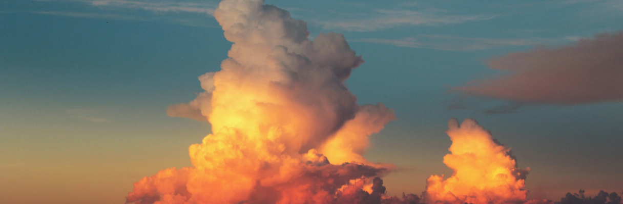 Monitor the Forecast: 