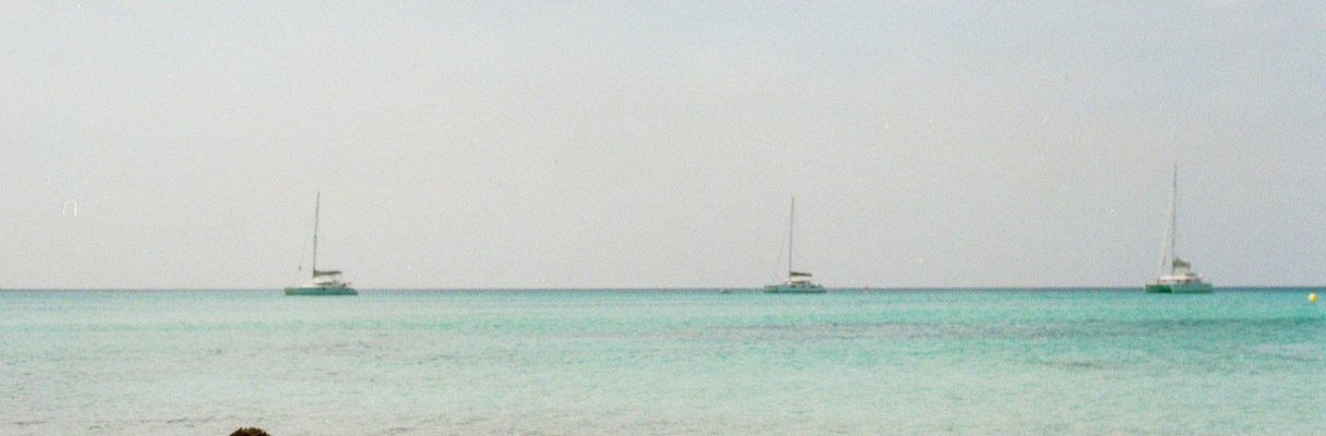 Nostalgic Aesthetics and Film Revival